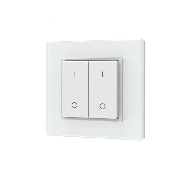 Sys-Pro Single Color 2 Zonen Aufputz-Tast-Fernbedienung mit Batterie