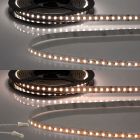 LED CRI919/940 MiniAMP CCT Flexband, 12V DC, 15W, IP20, 250cm, 2 polig, Kabel mit Stecker, 240 LED/m