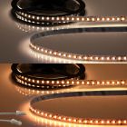 LED CRI919/940 MiniAMP CCT Flexband, 24V DC, 15W, IP20, 120cm, 2 polig, Kabel mit Stecker, 240 LED/m