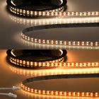 LED CRI919/940 MiniAMP CCT Strip, 24V DC, 21W, IP20, 500cm, 2 poli, cavo con spina, 480 LED/m