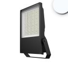 Projecteur LED HEQ 240W, 30°, 5700K, IP66