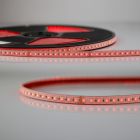Strip LED AQUA RGB+WW, 48V DC, 19W, IP68, chip 4in1, rotolo da 20 m, 96 LED/m