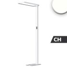 LED Office Pro floor lamp Up&Down, 80W+20W, silver, UGR