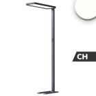 LED Office Pro floor lamp Up&Down, 80W+20W, black, UGR