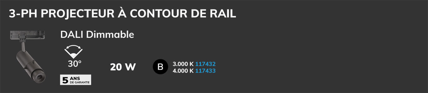 projecteur &agrave; rail